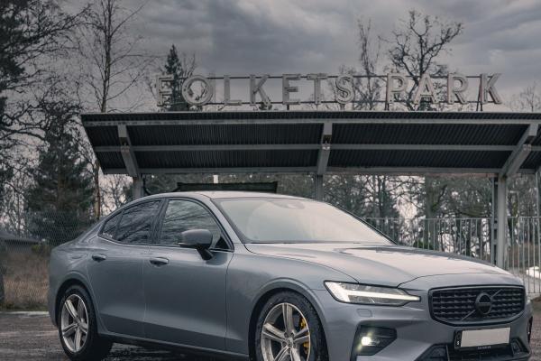 狮子女越喜欢你越冷你,狮子座真正的喜欢会很怂?