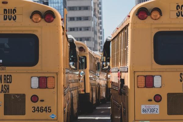 天秤2024的星座运势 天秤人的七个特征