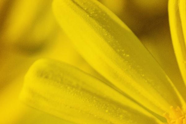 2023年9月24日装修好吗 是不是黄道吉日