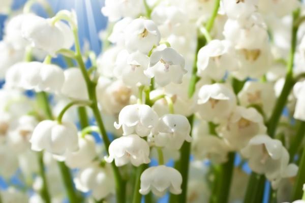 2023年9月21日装修开工好吗 是不是装修最佳日期