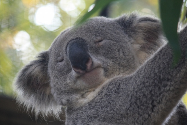 最有大老板命的星座,天生的总裁!