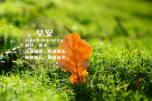 4月有正缘的生肖2024年 虎龙兔将拥有正缘机遇