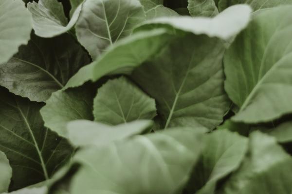 2023年9月17日结婚好吗 是否适合结婚