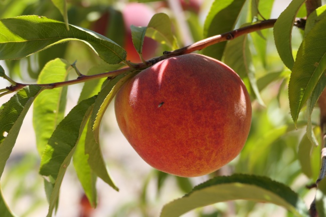 怎么样才能偏财运变好 分享增加偏财运的方法