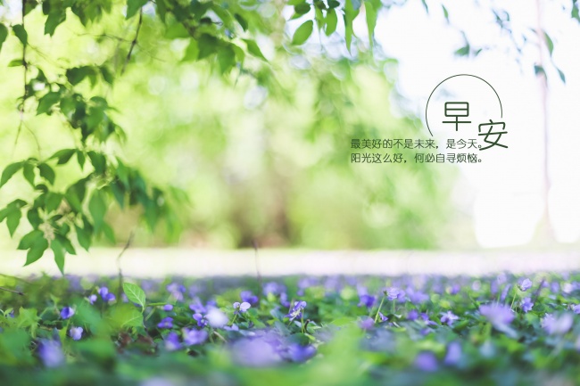 2023年9月8日出门好不好 白露可以出门吗