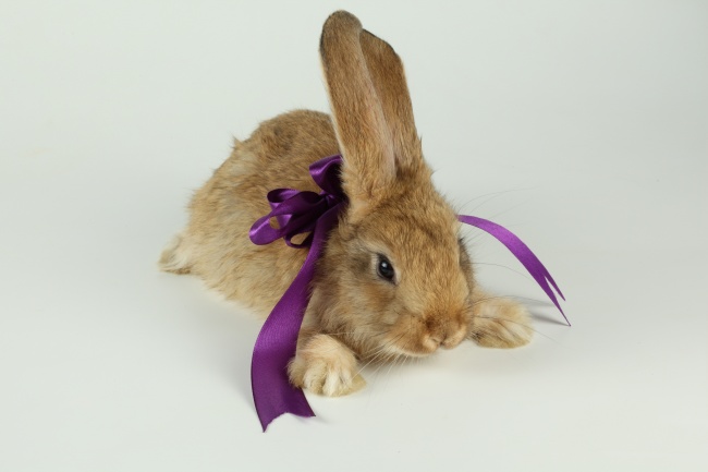 静电鱼 处女座星运详解【周运8月21日-8月27日】