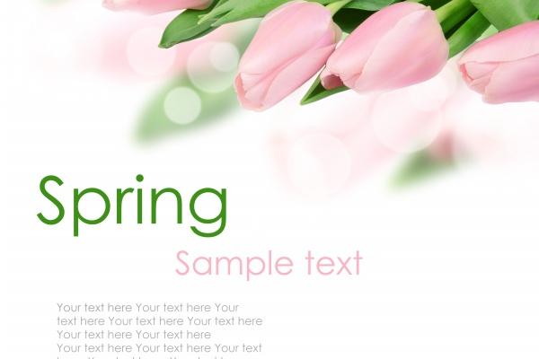 2023年9月8日结婚好吗 白露结婚好不好