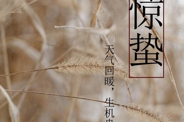 2024转好运的星座 水晶转运法