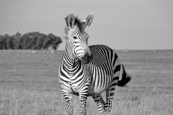 狂月天时 12星座一周简运2023/08/21-08/27