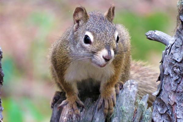 2024走运的星座 哪些星座幸运连连