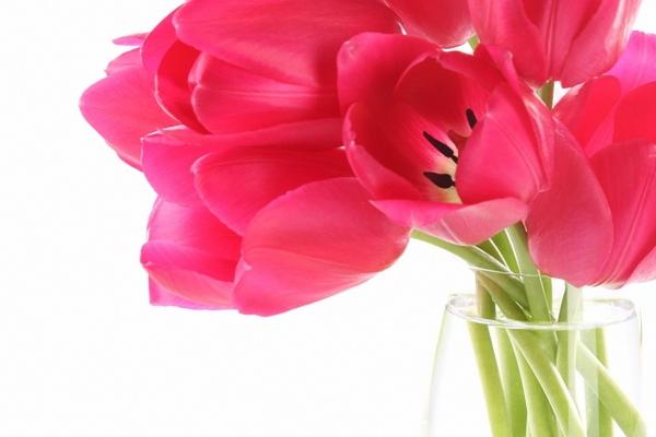 唐绮阳双鱼座2023年9月运势详解