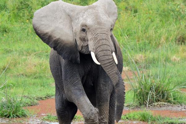 2023年9月15日装修好不好 这天修房装潢可以吗