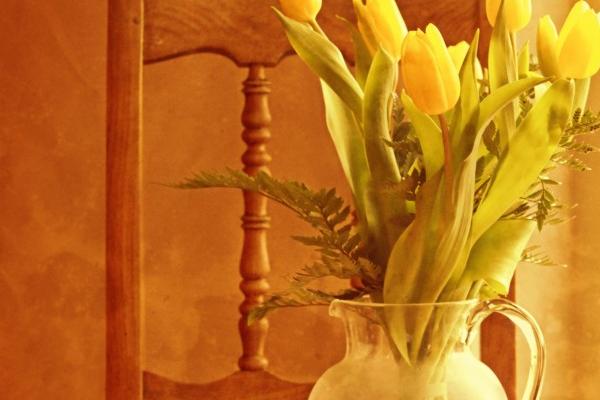 白羊男跟金牛女配吗?真的很适合!