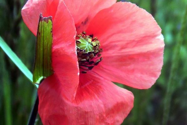 2023年9月6日适合装修吗 这天修房装潢可以吗