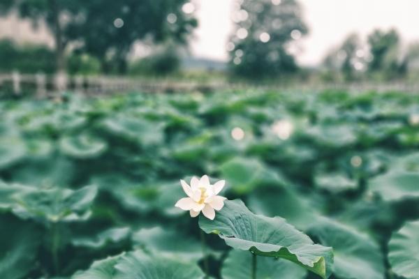2023年9月9日签约好吗 是好日子吗