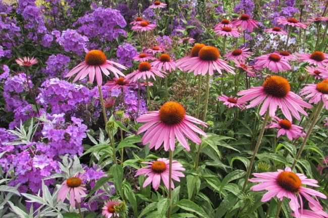 闹闹女巫 12星座本周运势详解0828—0903