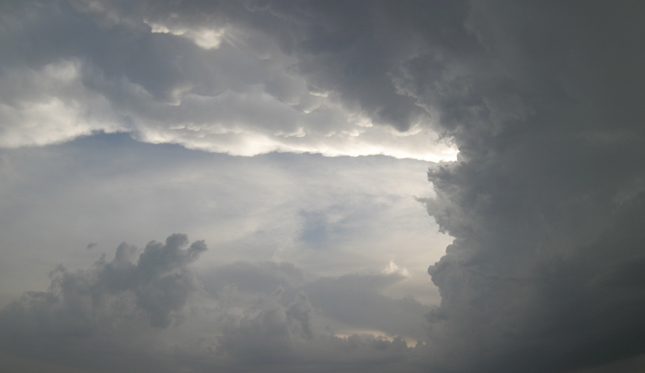 1859年属什么生肖 未羊人性格优缺点