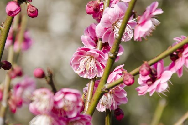 闹闹女巫 0831十二星座今日运势