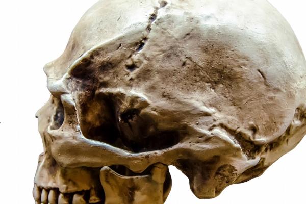 2024最巅峰的星座 运气最好星座