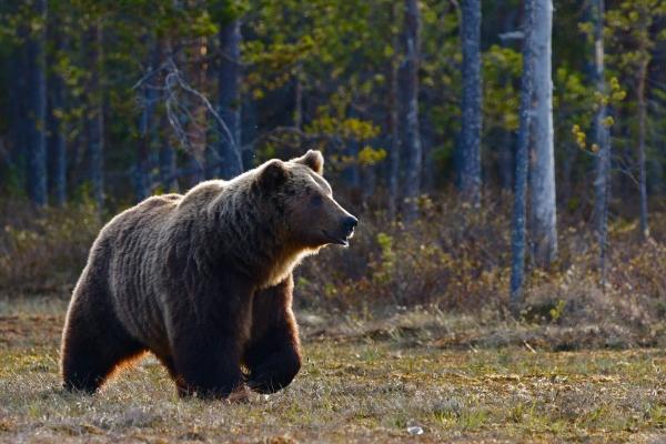2023年9月11日吉时查询 几点吉利
