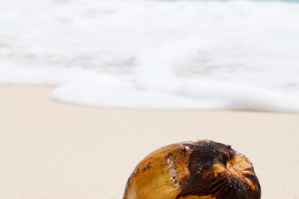 73年牛女一生婚姻上有几大劫难,如何化解