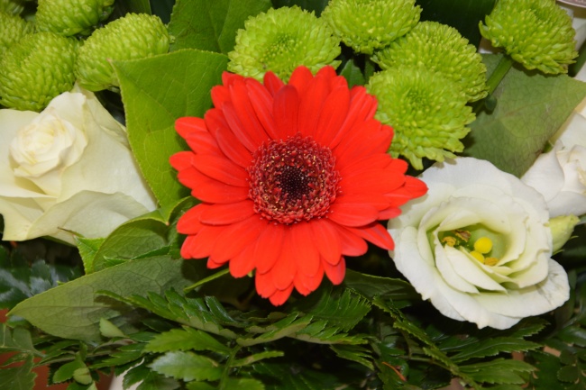 2023年8月10日动土好吗 适合建房子吗