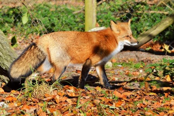 2024翻身的星座 把握机遇好运来