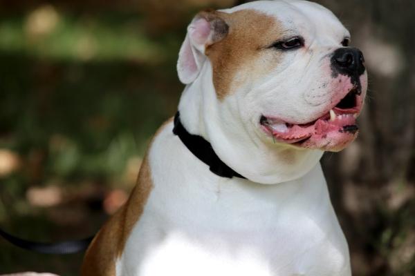 2024感情劫难的星座 多多珍惜理解对方