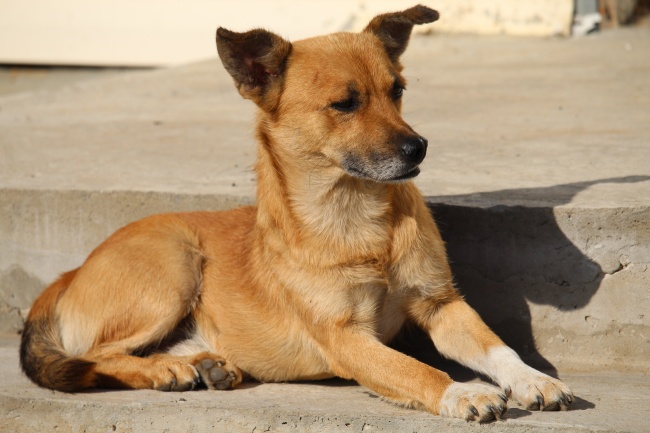 闹闹女巫 0829十二星座今日运势