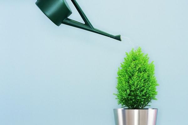 2024的星座榜 浅谈星座运势榜