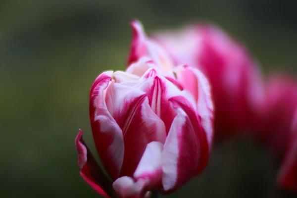 静电鱼 水瓶座星运详解【周运8月28日-9月3日】