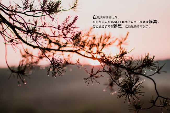 怎么看八字带不带偏财 风水改变偏财运
