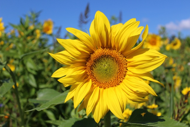 2023年9月27日出门好不好 适合出行吗