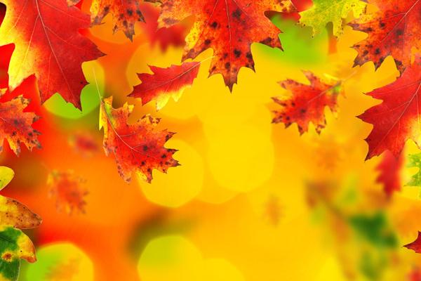 2024年的星座排序 巨蟹事业财富双丰收