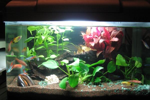 2023年9月18日吉时是几点 旺运势时辰查询表