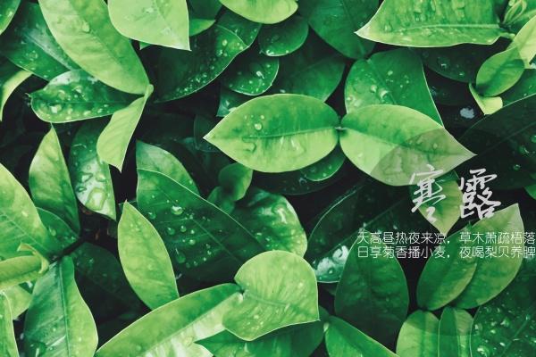 苏珊米勒 今日星座运势查询9.1