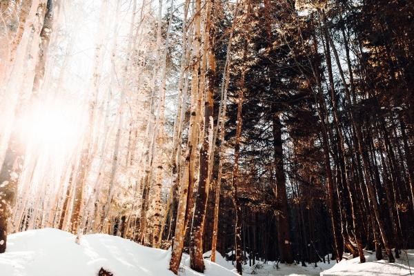 2023年9月25日适合搬家吗 日子吉利吗