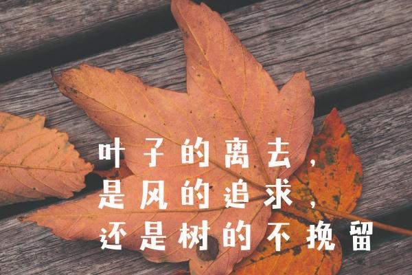 2023年9月12日吉时查询 老黄历吉时