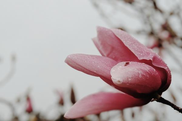 狂月天时 0907每日星座运势