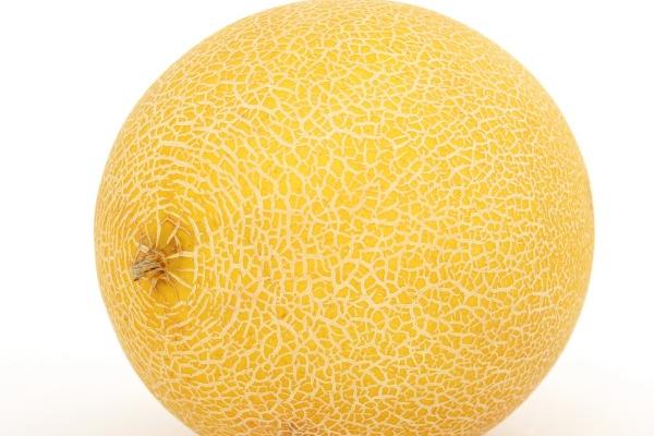 静电鱼 处女座星运详解【周运8月28日-9月3日】