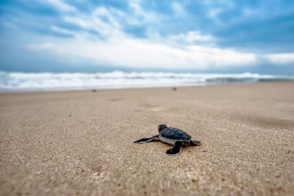 2023年9月30日出行好不好 宜出行吗