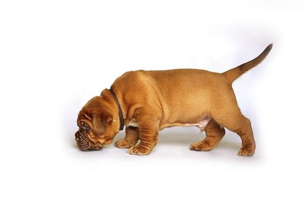 Alex 摩羯座本周运势详解8.28—9.3