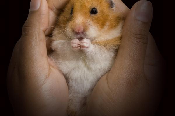 2023年9月24日搬家好吗 日子吉利吗