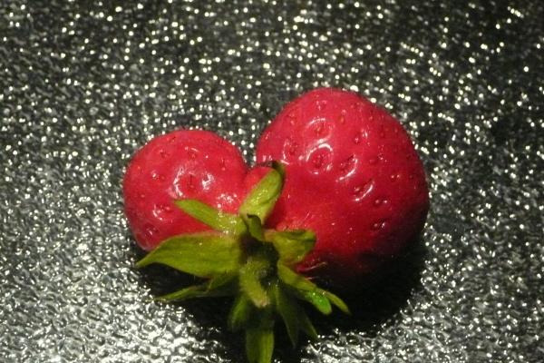 生肖表十二顺序2024 十二生肖年份表