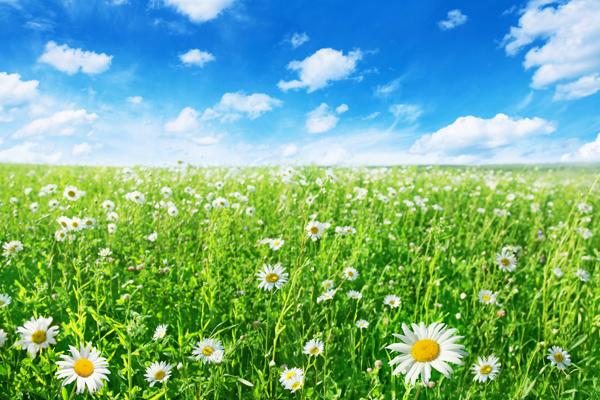 静电鱼 2023.8.28—9.3本周重要星象