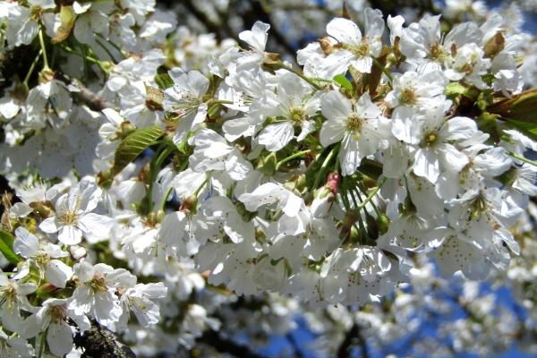 闹闹女巫 0828十二星座今日运势