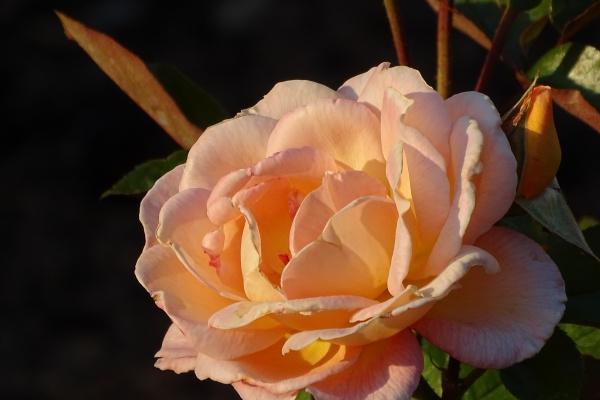 2023年9月3日财神方位查询 今日财神方位查询