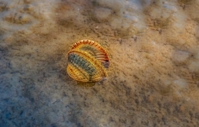 2023年9月28日结婚好吗 能办婚礼吗