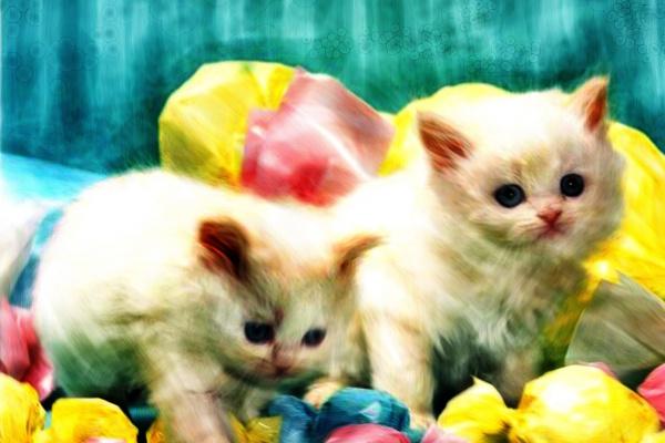 拜太岁一年拜几次,有什么说法