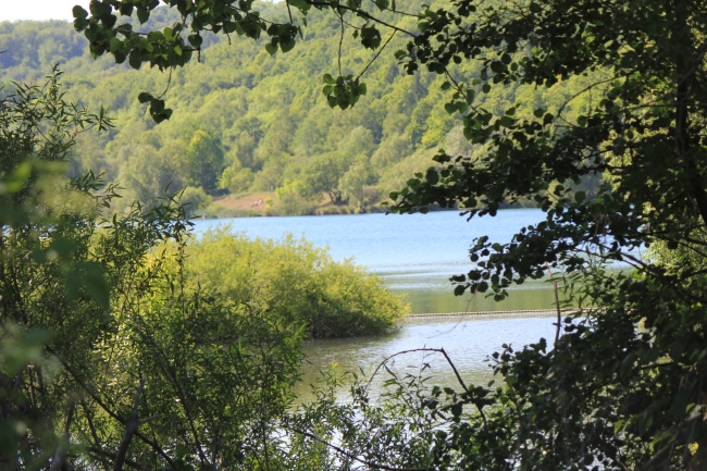 2024容易出轨的星座 春天来临易出轨